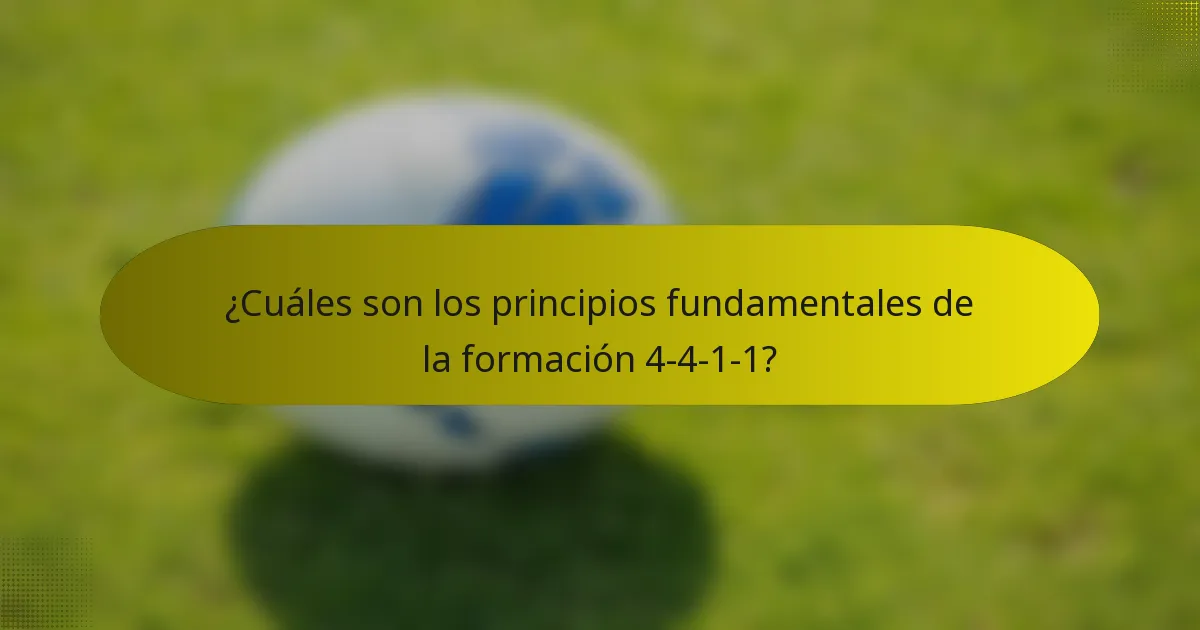 ¿Cuáles son los principios fundamentales de la formación 4-4-1-1?